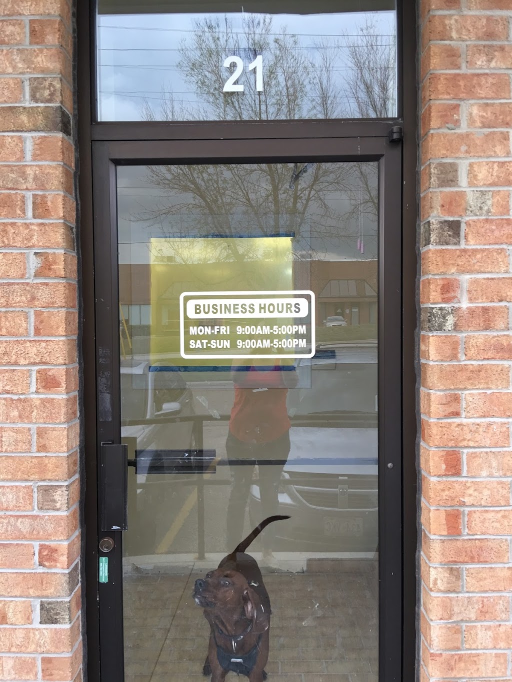 Paws in The Bath Dog Grooming | 1100 Gorham St #21, Newmarket, ON L3Y 8Y8, Canada | Phone: (905) 235-7227