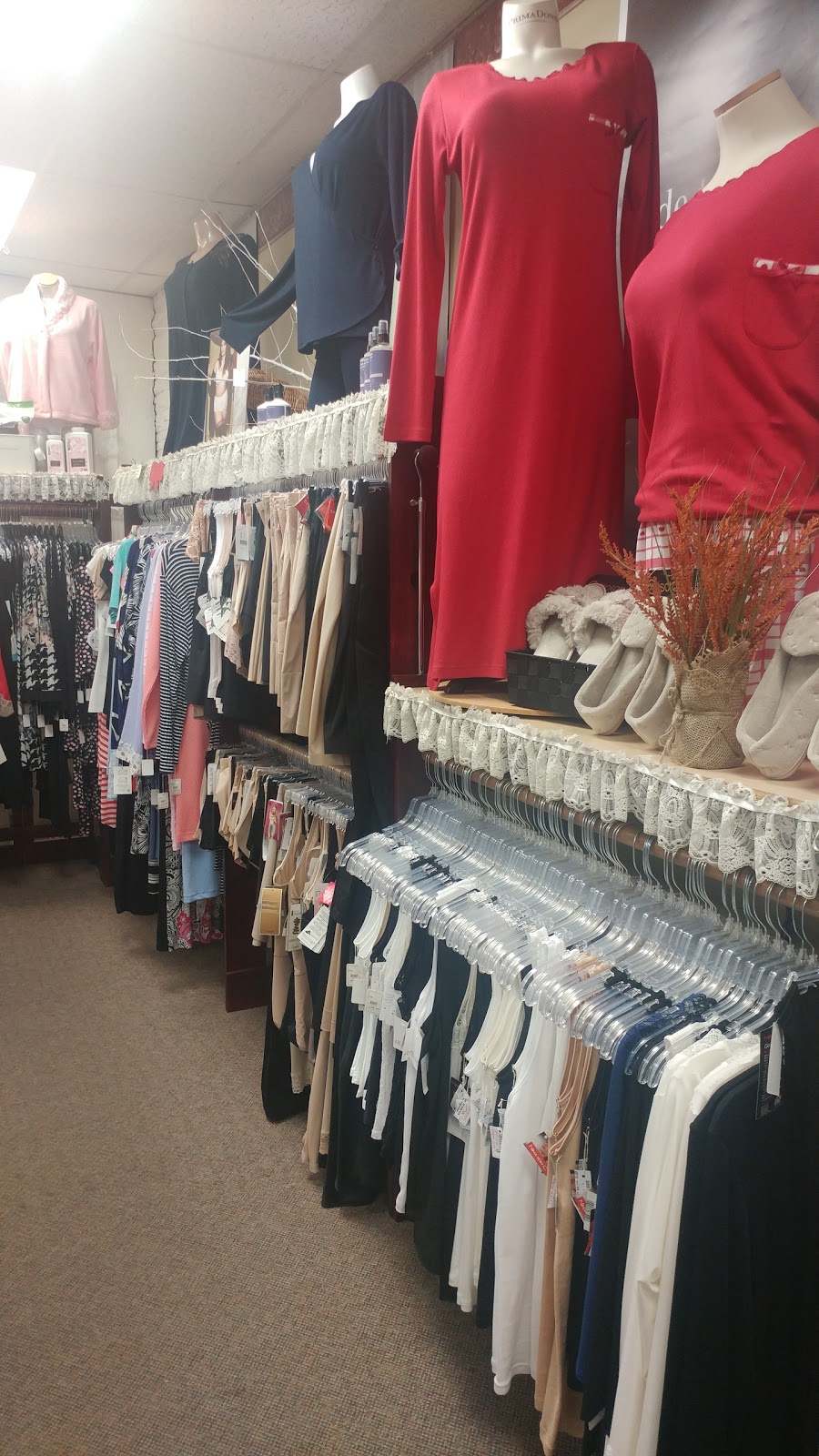 The Delicate Touch | 3877 Dougall Ave, Windsor, ON N9G 1X3, Canada | Phone: (519) 972-9675