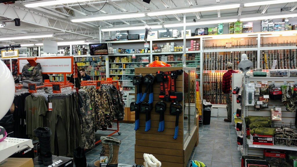 Coastal Outdoors | 1256 Topsail Rd, Mount Pearl, NL A1N 5E8, Canada | Phone: (709) 747-0159