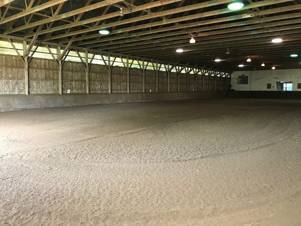 QUASAR EQUESTRIAN LTD. | 890 Davis Dr W, Newmarket, ON L3Y 4V9, Canada | Phone: (905) 252-6177