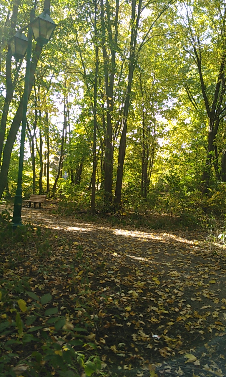 Parc des Mésanges | 625 Avenue Ampère, Laval, QC H7N, Canada