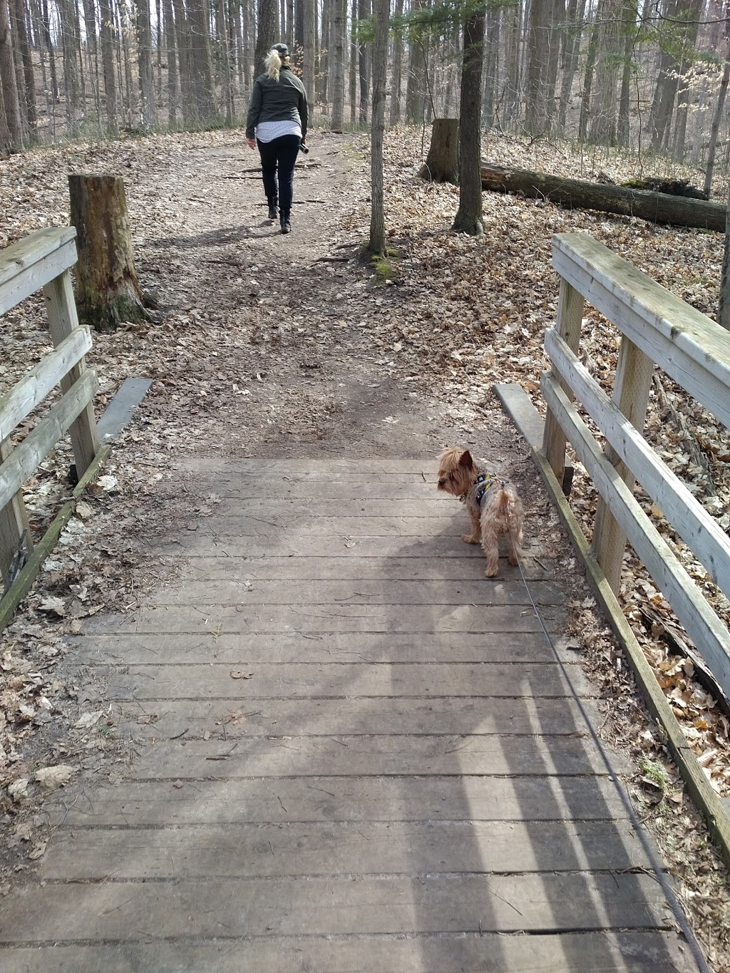 Parkvale Park | Kitchener, ON N2R 1Y8, Canada