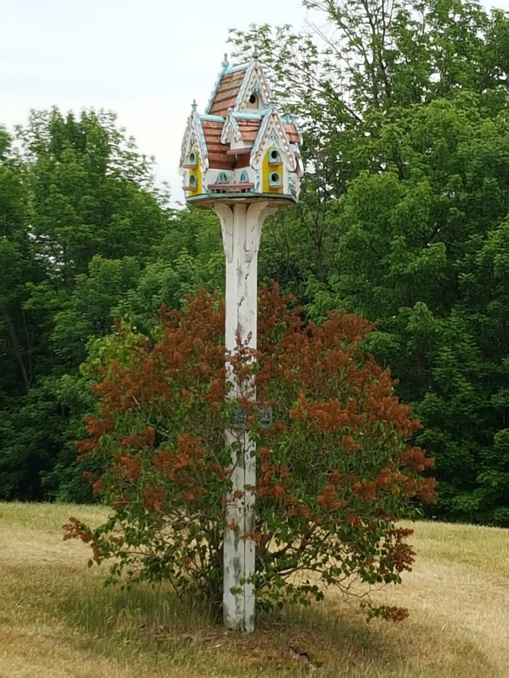 Stone Tree - Golf, Fitness and Banquets | 318085 Hwy 6&10, Owen Sound, ON N4K 5N6, Canada | Phone: (519) 376-7899