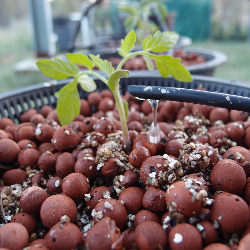 Hometown Hydroponics Inc | 5386 Greenlane, Beamsville, ON L0R 1B3, Canada | Phone: (905) 563-6121