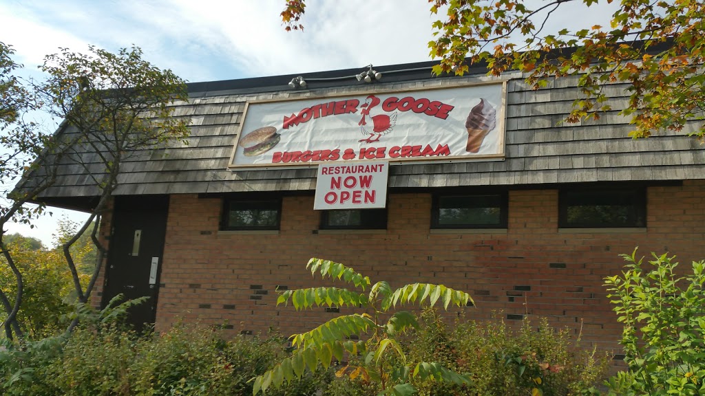 Toogood Pond Park | 280 Main Street, Unionville, ON L3R 2H2, Canada | Phone: (905) 477-5530