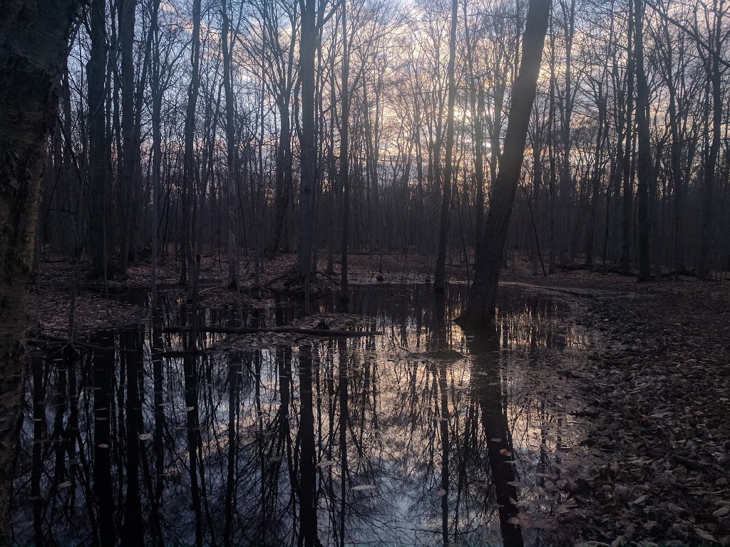 Senneville Migratory Bird Sanctuary | Senneville, QC H9X 3Y1, Canada | Phone: (800) 668-6767