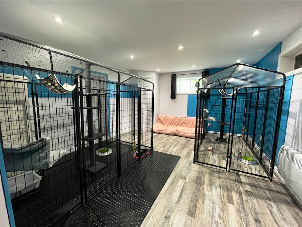 Paws n Passion Inc. | 2466 Rang de la Savane, Richelieu, QC J3L 6N8, Canada | Phone: (514) 612-4300