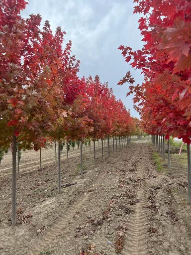 Three Generation Farms | ON-10, Mono, ON L9V 0Z6, Canada | Phone: (416) 845-5700
