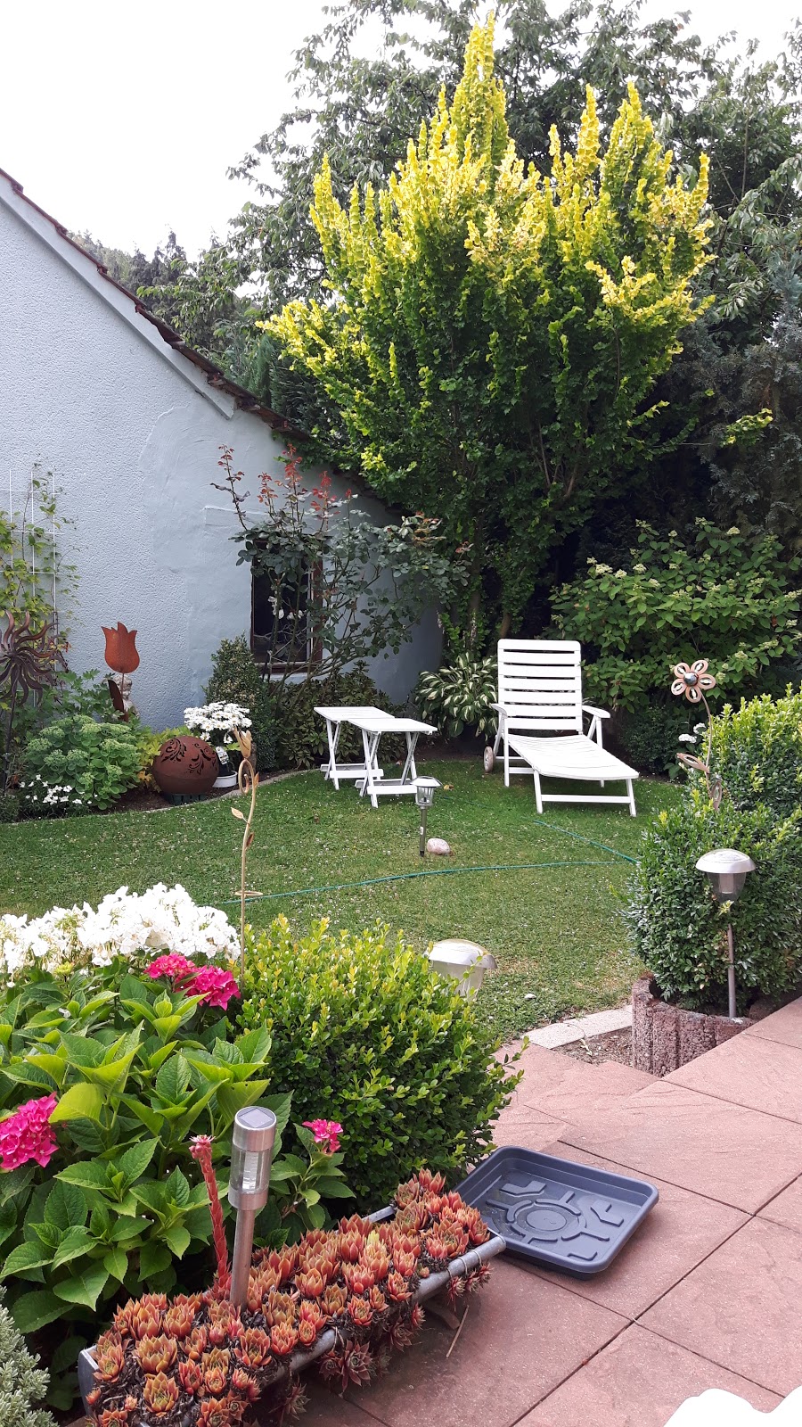 Brenneis Greenhouses 1612110 St NW, Edmonton, AB T5Y 6K6, Edmonton