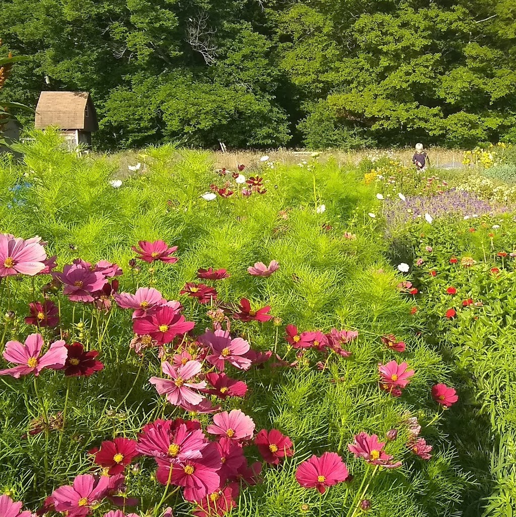 Twig & Brindille Flower Farm | 423475 conc road, 6, Markdale, ON N0C 1H0, Canada | Phone: (226) 668-9181