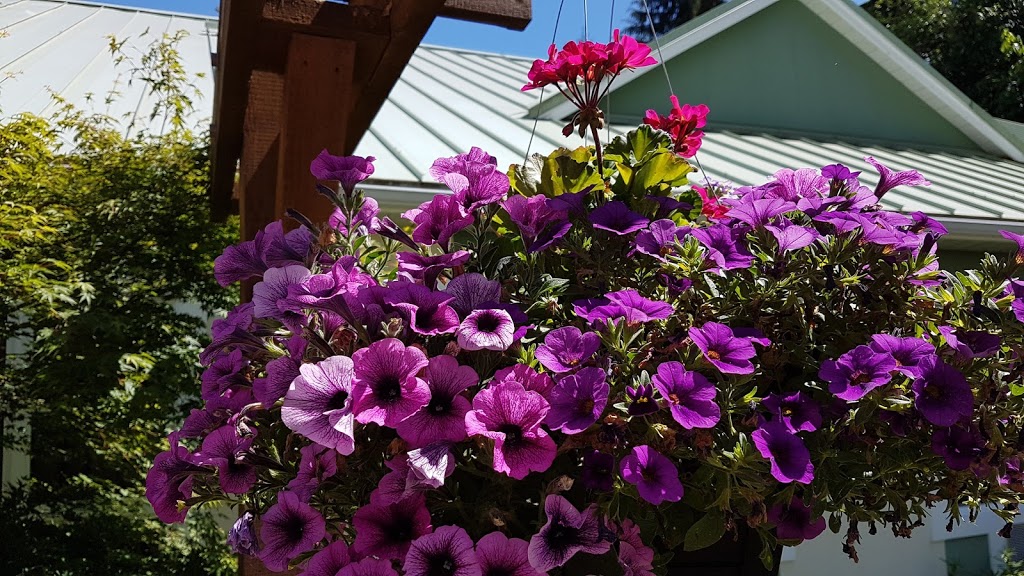 Honeymoon Bay Lodge & Retreat | 10028 Park Dr, Honeymoon Bay, BC V0R 1Y0, Canada | Phone: (888) 749-4252