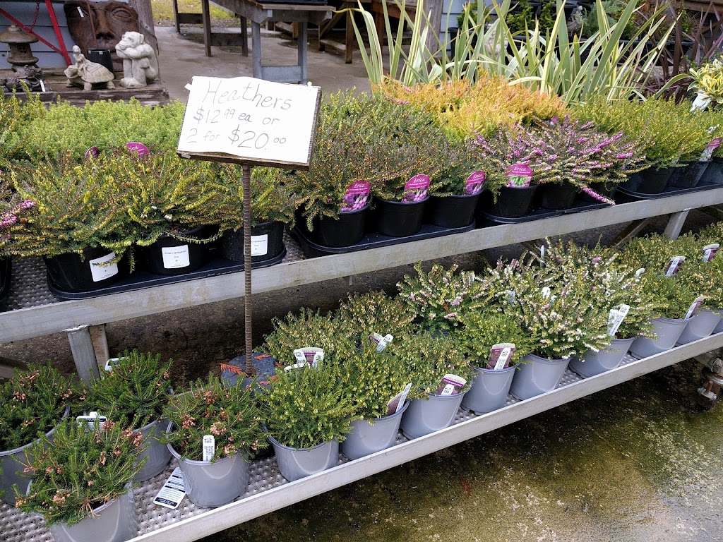 Springtime Garden Centre | 5300 Yukon Ave, Powell River, BC V8A 4H4, Canada | Phone: (604) 483-3681