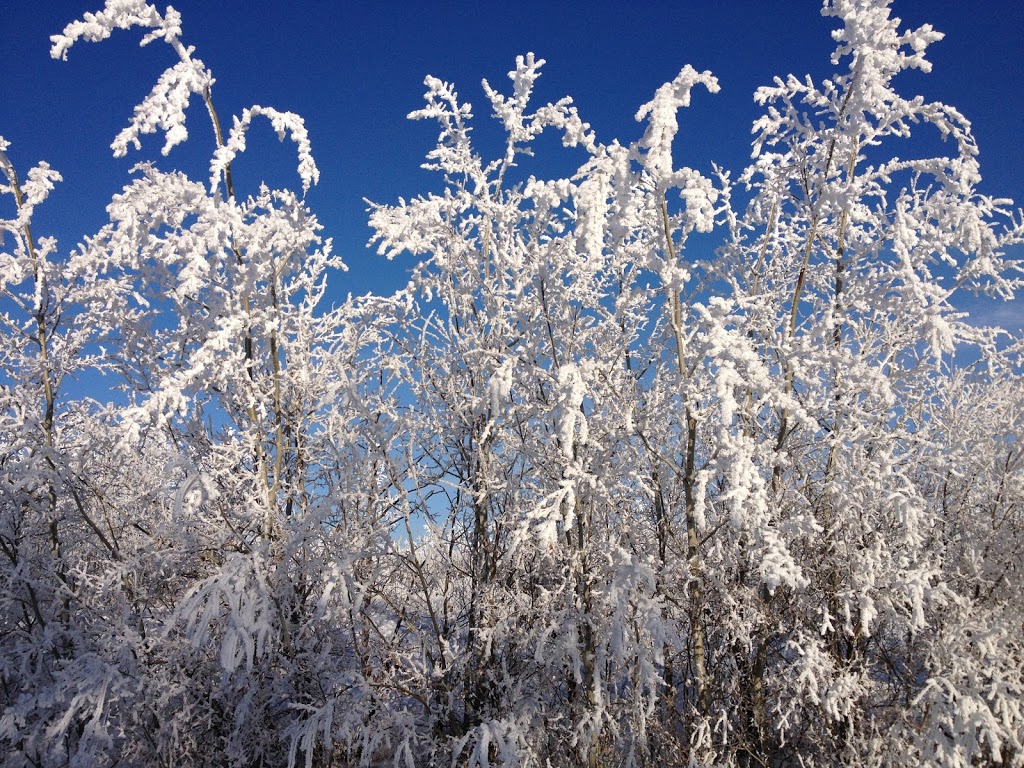 Ethereal Energy Limited | Box 157, Lindale, AB T0C 1W0, Canada | Phone: (780) 860-2402