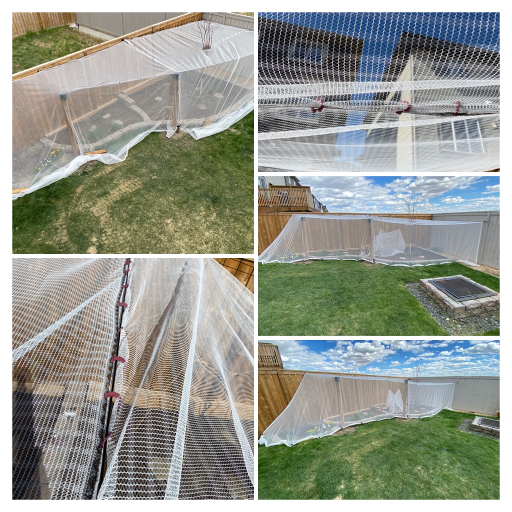 GRDNetting Solutions | 301 Hillcrest Rd SW, Airdrie, AB T4B 4K1, Canada | Phone: (825) 438-4736