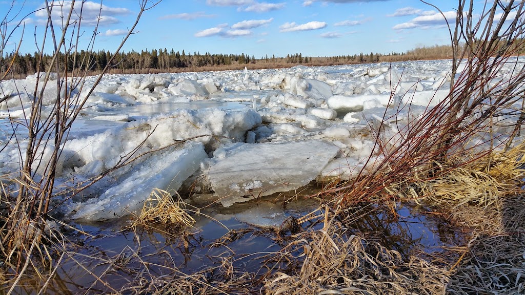 Prince Albert Elks Club | 93 8 Ave E, Prince Albert, SK S6V 2L2, Canada | Phone: (306) 764-1260