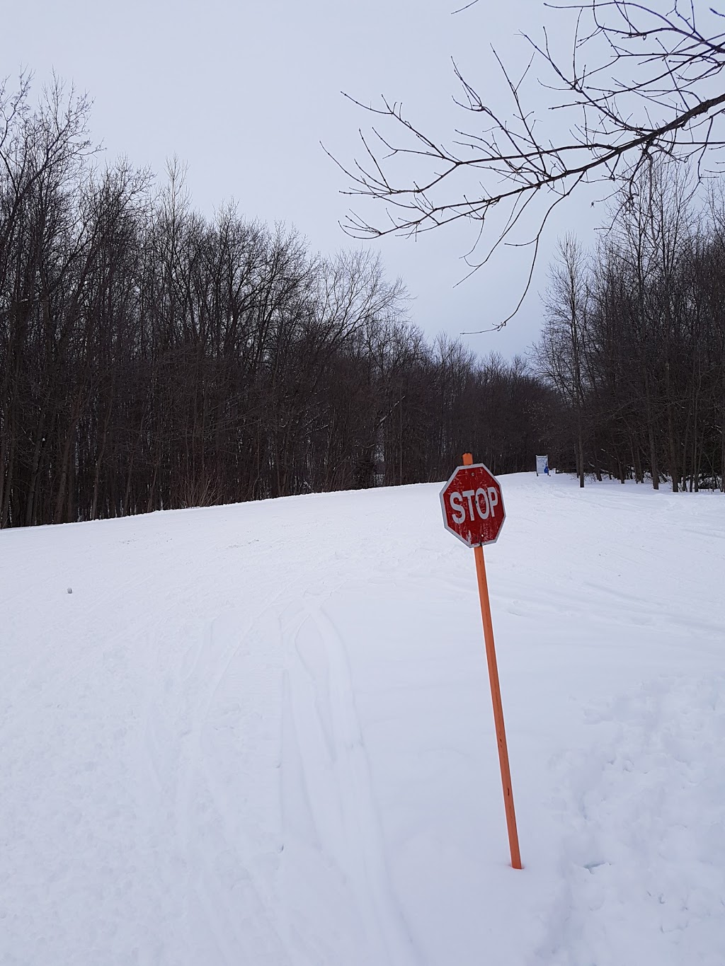 Coldwater Curling Club | 9 Michael Anne Dr, Coldwater, ON L0K 1E0, Canada | Phone: (705) 686-3946
