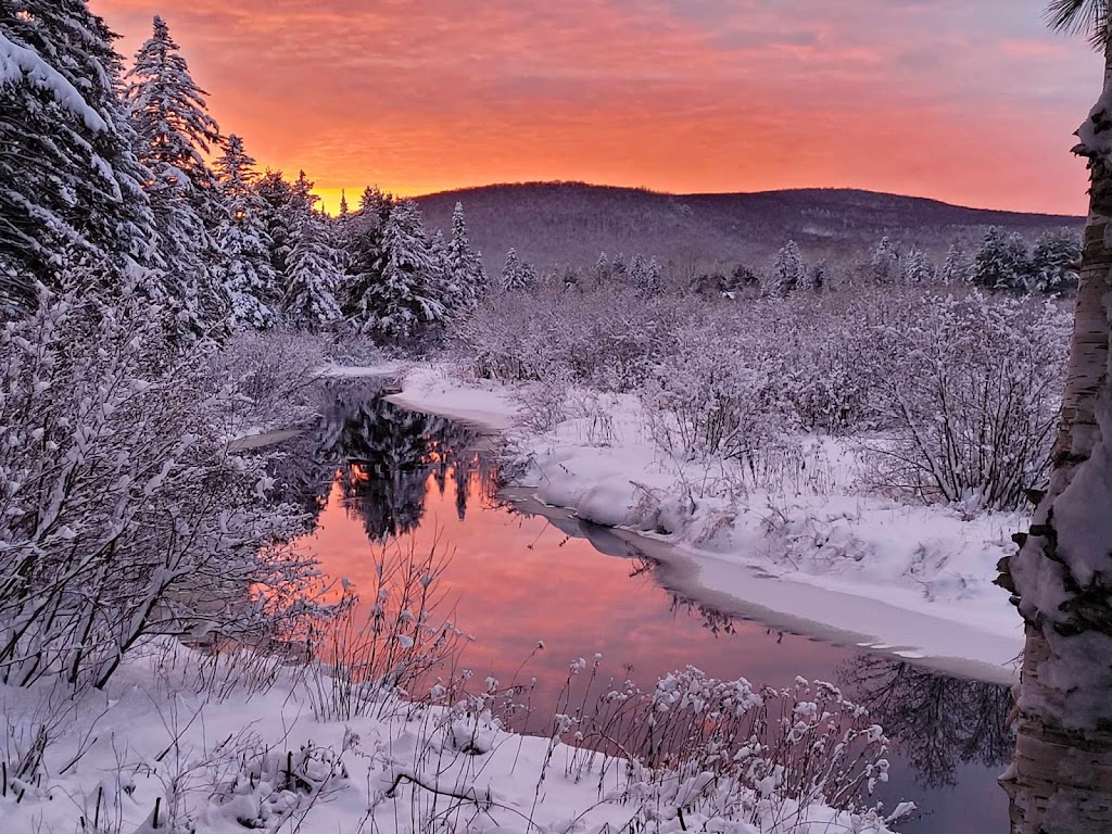 Chalet des Patriotes | 21 Rue de la Montagne, Saint-Alexis-des-Monts, QC J0K 1V0, Canada | Phone: (819) 996-4504