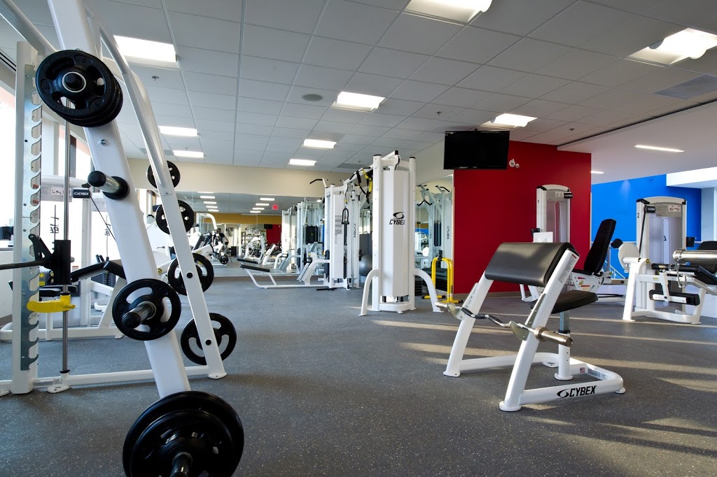 Womens Fitness Clubs of Canada | 491 Appleby Line #200, Burlington, ON L7L 2Y1, Canada | Phone: (905) 631-1520