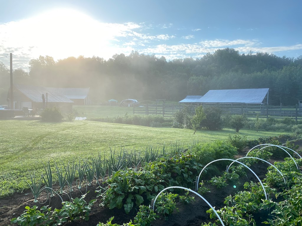La terre aux trois pins | 9215 Chem. des Hêtres, Bécancour, QC G9H 3L5, Canada | Phone: (819) 697-8199
