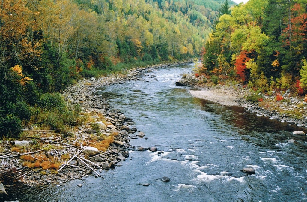 Saumon Riviere Malbaie Inc | 25 Chemin des Chutes, Clermont, QC G4A 1B1, Canada | Phone: (418) 439-0672