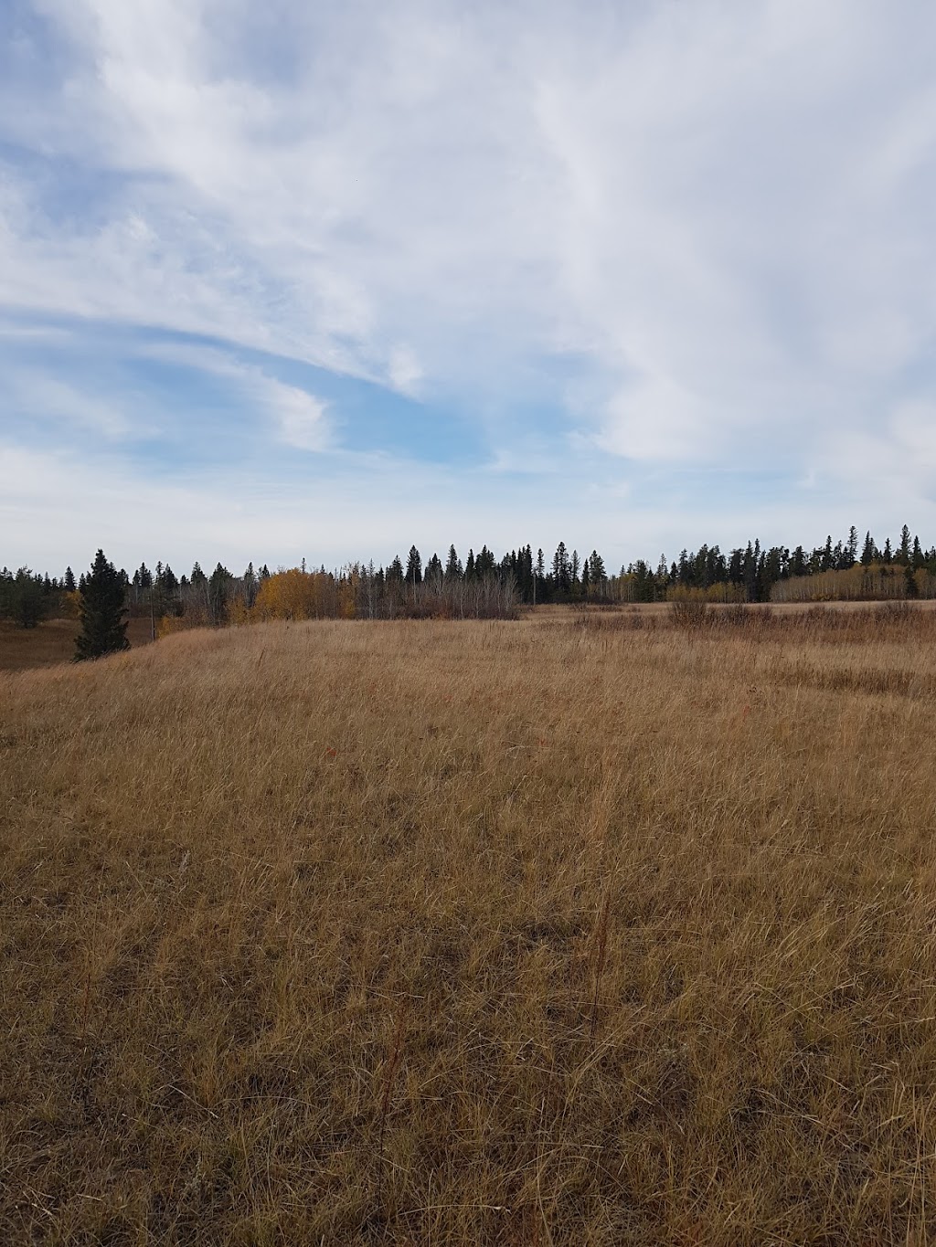 Little Red River Park | 690 13 St NE, Spruce Home, SK S0J 2N0, Canada | Phone: (306) 953-4800