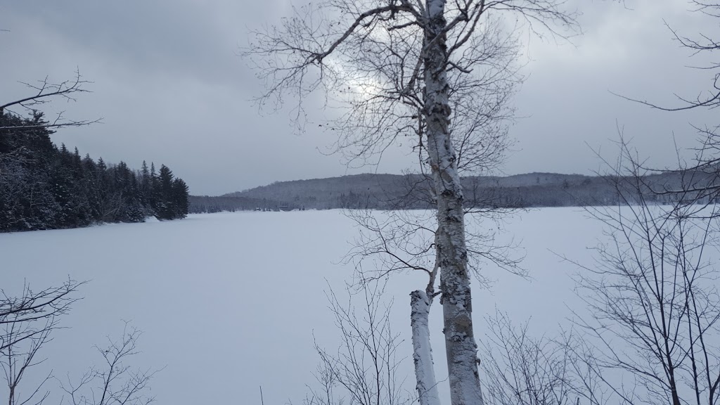 Arrowhead Provincial Park Cross Country Skiing | RR3, Huntsville, ON P0A 1R0, Canada | Phone: (705) 789-5105