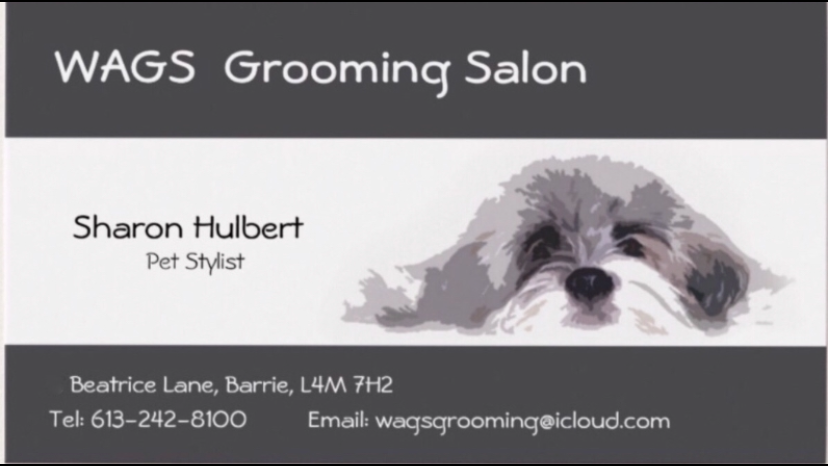 Wags Grooming Salon | 6 Beatrice Ln, Barrie, ON L4M 7H2, Canada | Phone: (613) 242-8100