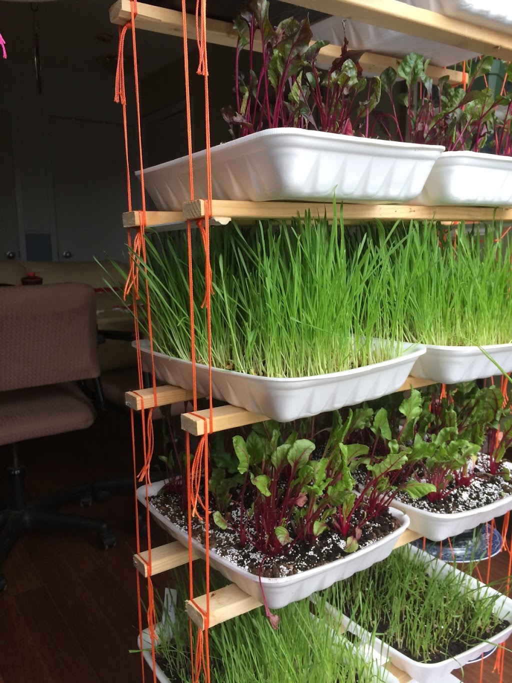 Agriculture en Micro-Espace | 2920 Rue Mazenod #402, Longueuil, QC J4L 4C8, Canada | Phone: (450) 647-5045