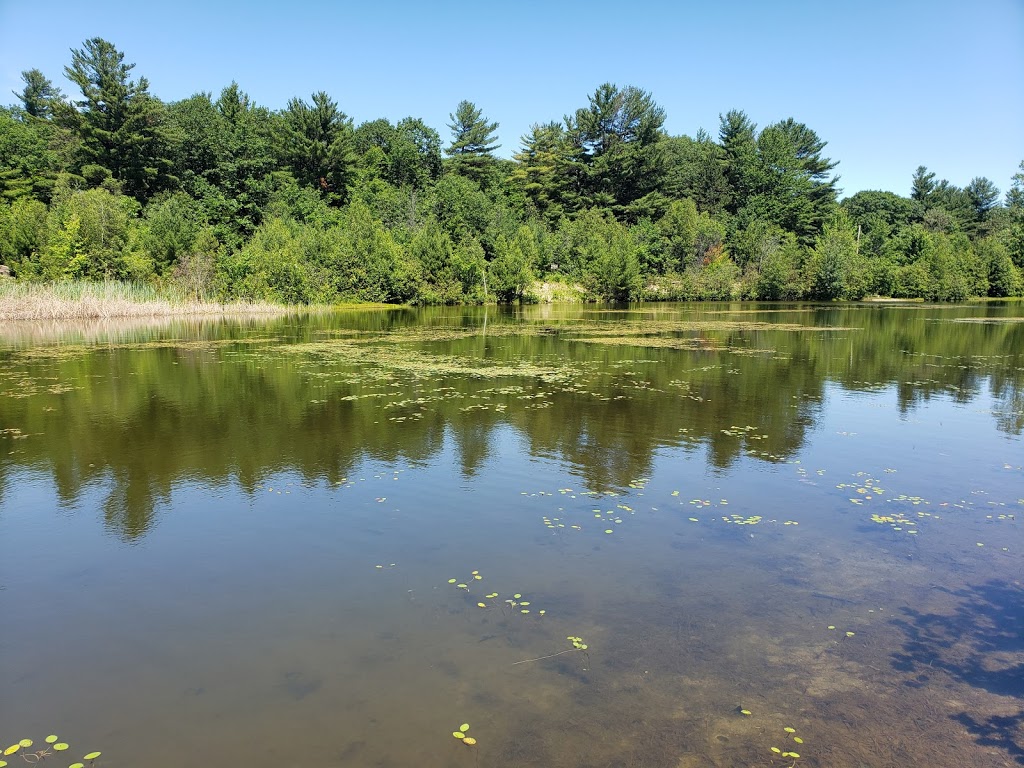 Parc Halte Verdu | Sainte-Julienne, QC J0K 2T0, Canada