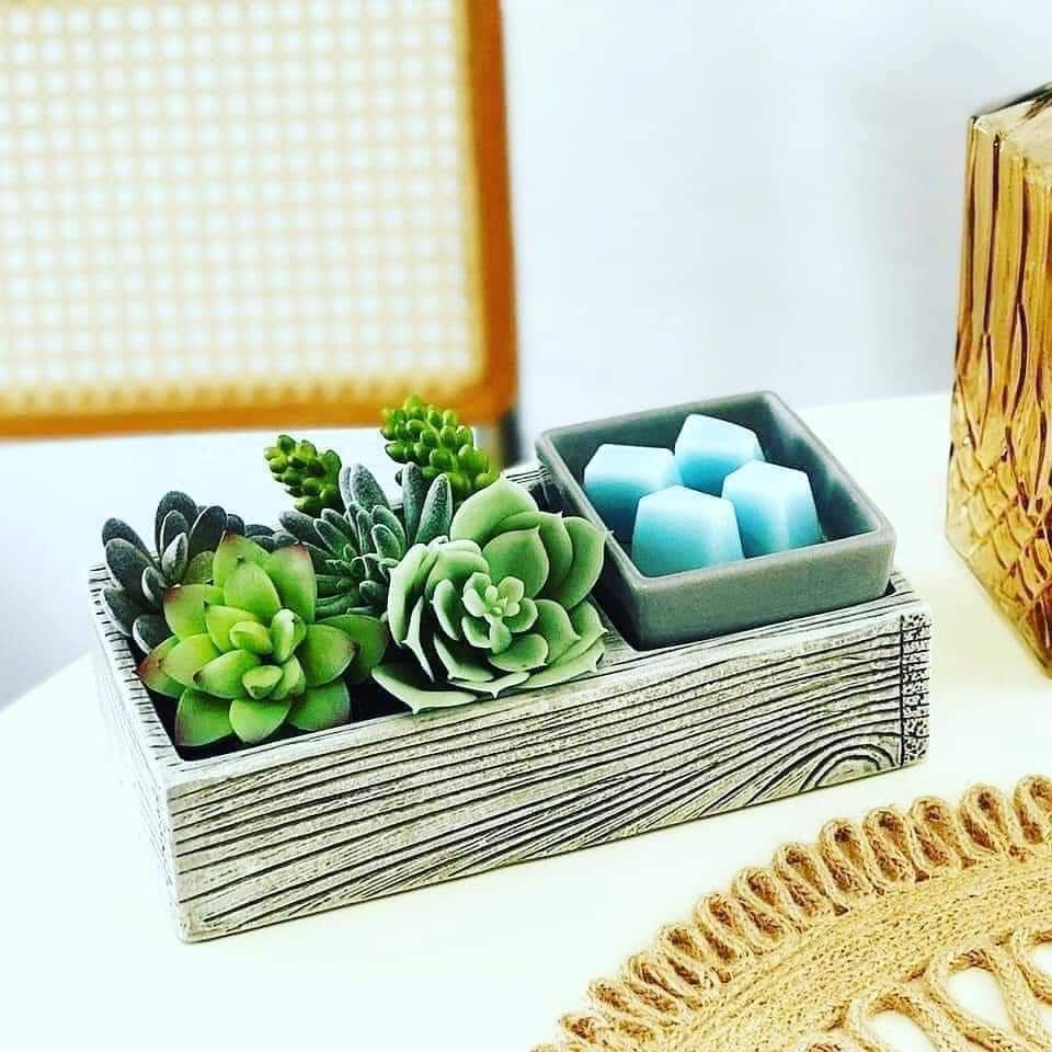 Independent Scentsy Consultant- Cindy Taylor | 610 Malo St, Kingsville, ON N9Y 3G6, Canada | Phone: (226) 346-5547