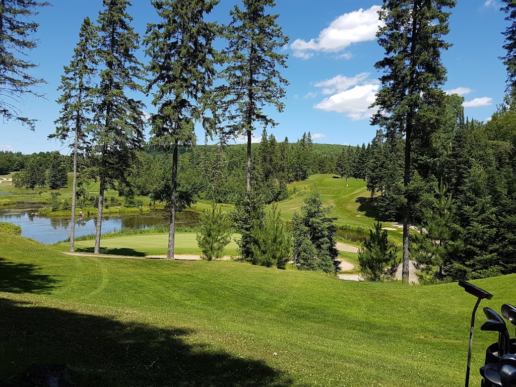 Services Forestiers-Mt Laurier | 327 Chem. du Golf, Lac-des-Écorces, QC J0W 1H0, Canada | Phone: (819) 623-3143