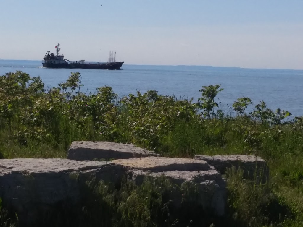 George Nicholson Memorial Trail | George Nicholson Memorial Trail, St. Catharines, ON L2M 7W8, Canada