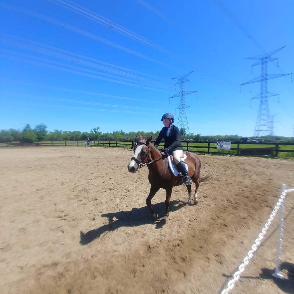 Flat Rock Farm Equestrian | 1350 Shannonville Rd, Shannonville, ON K0K 3A0, Canada | Phone: (613) 661-9028