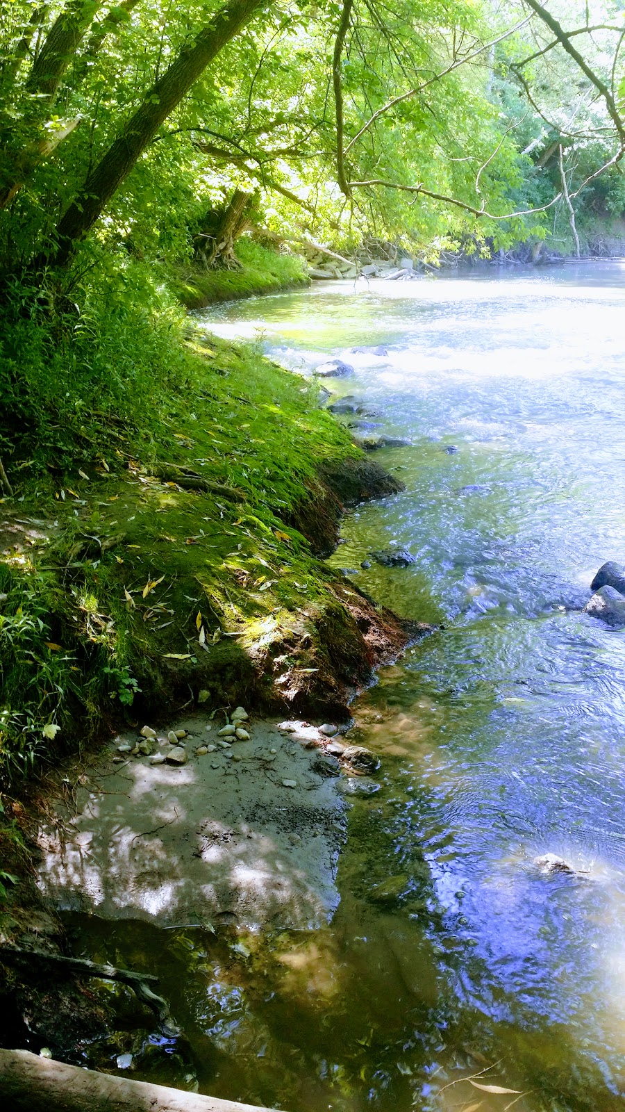 Charles Sauriol Conservation Area | 1191 Lawrence Ave E, North York, ON M3A 3P9, Canada | Phone: (416) 338-5058