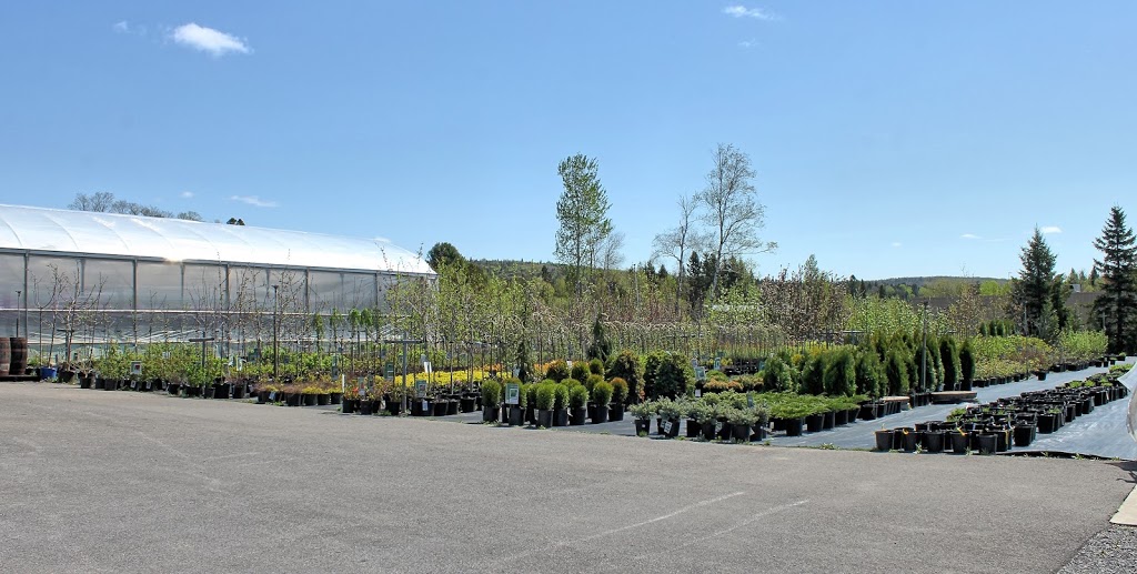 Pépinière Jacques Joly Enr | 861 Route Louis-Cyr, Saint-Jean-de-Matha, QC J0K 2S0, Canada | Phone: (450) 886-5192