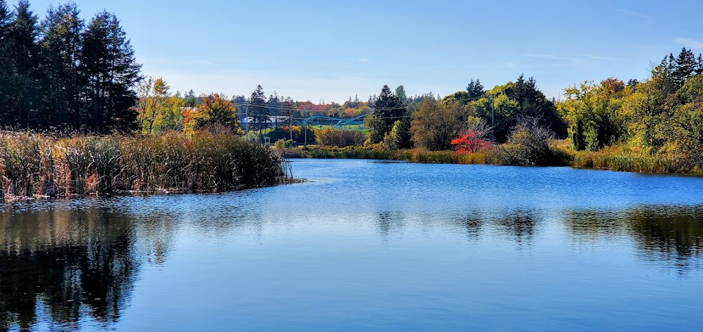 Cavendish Grove, Prince Edward Island National Park | 8780 PE-6, Cavendish, PE C0A 1M0, Canada | Phone: (902) 672-6350