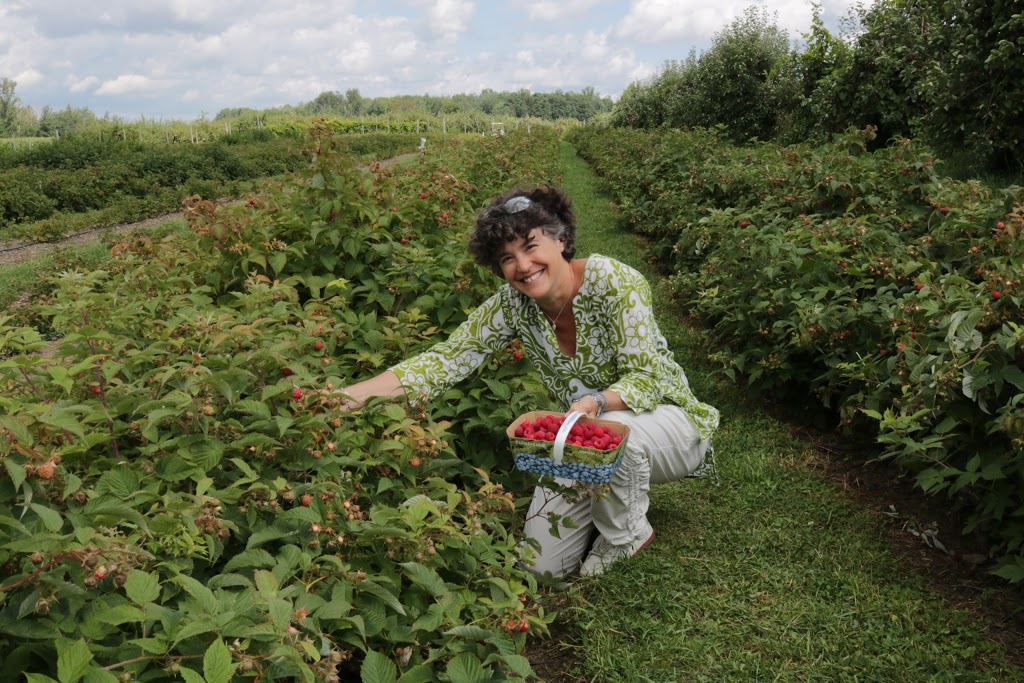 Paradis des Fruits Dunham | 519 Rue Bruce, Dunham, QC J0E 1M0, Canada | Phone: (450) 295-2667