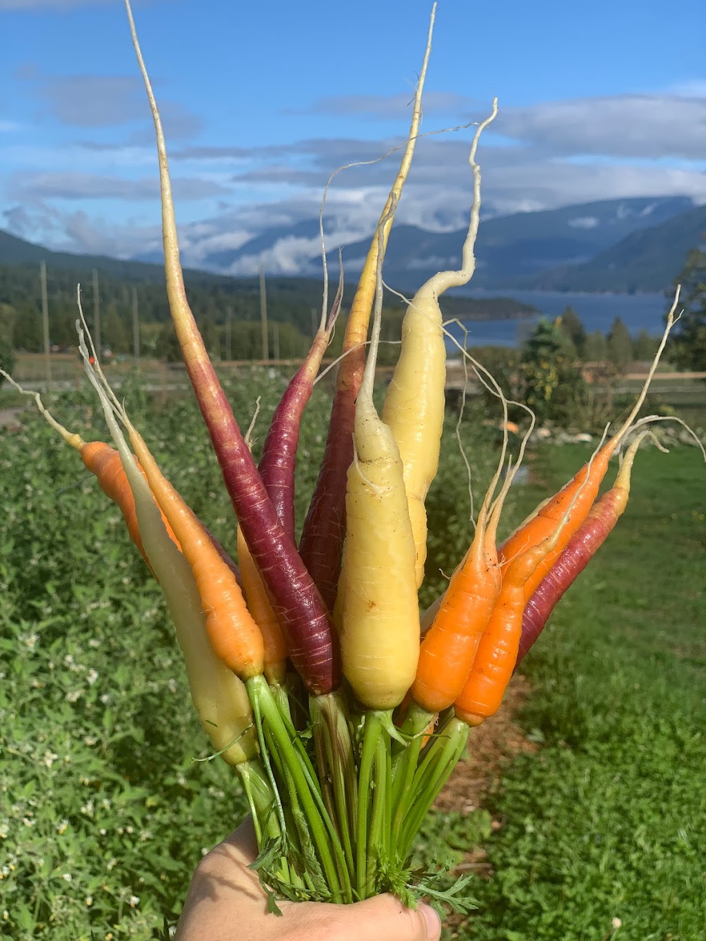 Heart & Sol Coastal Farm | 6282 Crowston Rd, Sechelt, BC V0N 3A5, Canada | Phone: (604) 710-4992