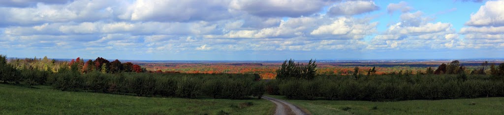Les Vergers Ivanhoë Faille | 2232 Montée Brooks, Franklin, QC J0S 1E0, Canada | Phone: (450) 827-2742
