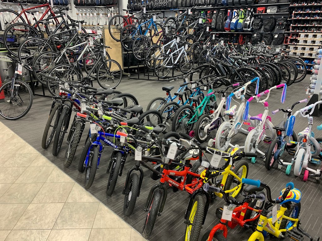 Econosports | 1495 Rue King O, Sherbrooke, QC J1J 2C1, Canada | Phone: (819) 346-4050
