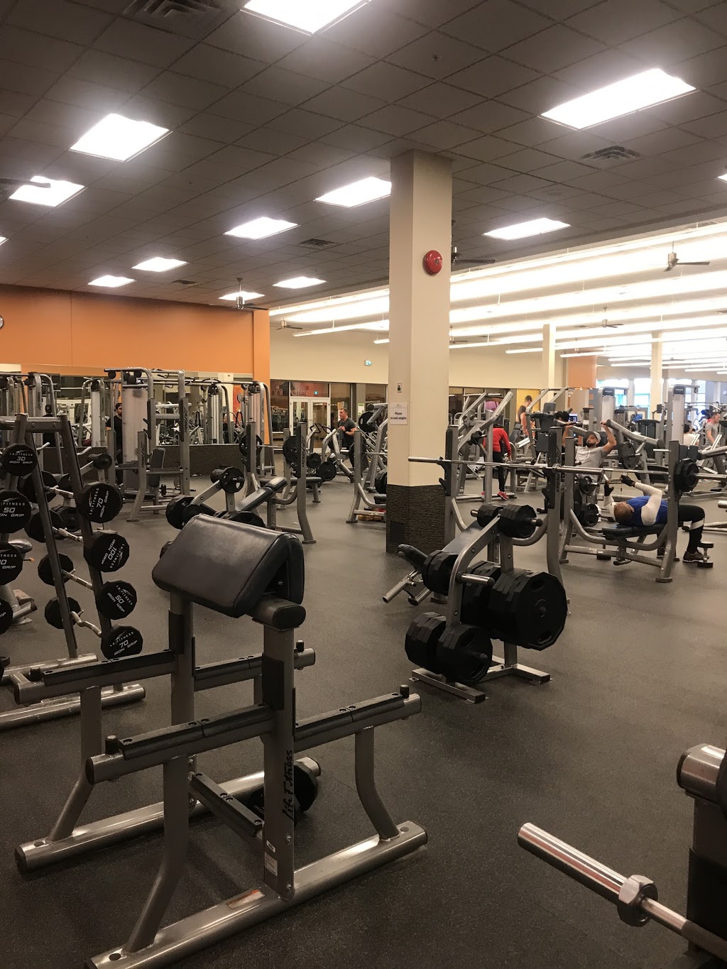 LA Fitness | 8555 Woodbine Ave, Markham, ON L3R 4X9, Canada | Phone: (289) 301-4273