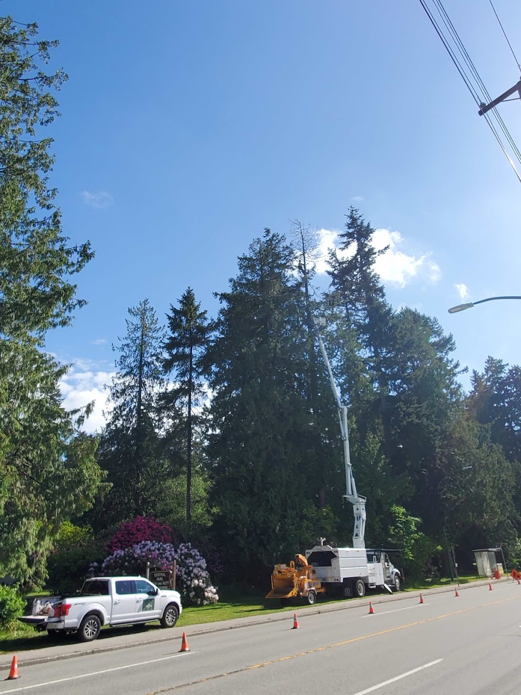 Apex Tree Services | 145 E Kensington Rd, North Vancouver, BC V7N 1P2, Canada | Phone: (778) 839-3430