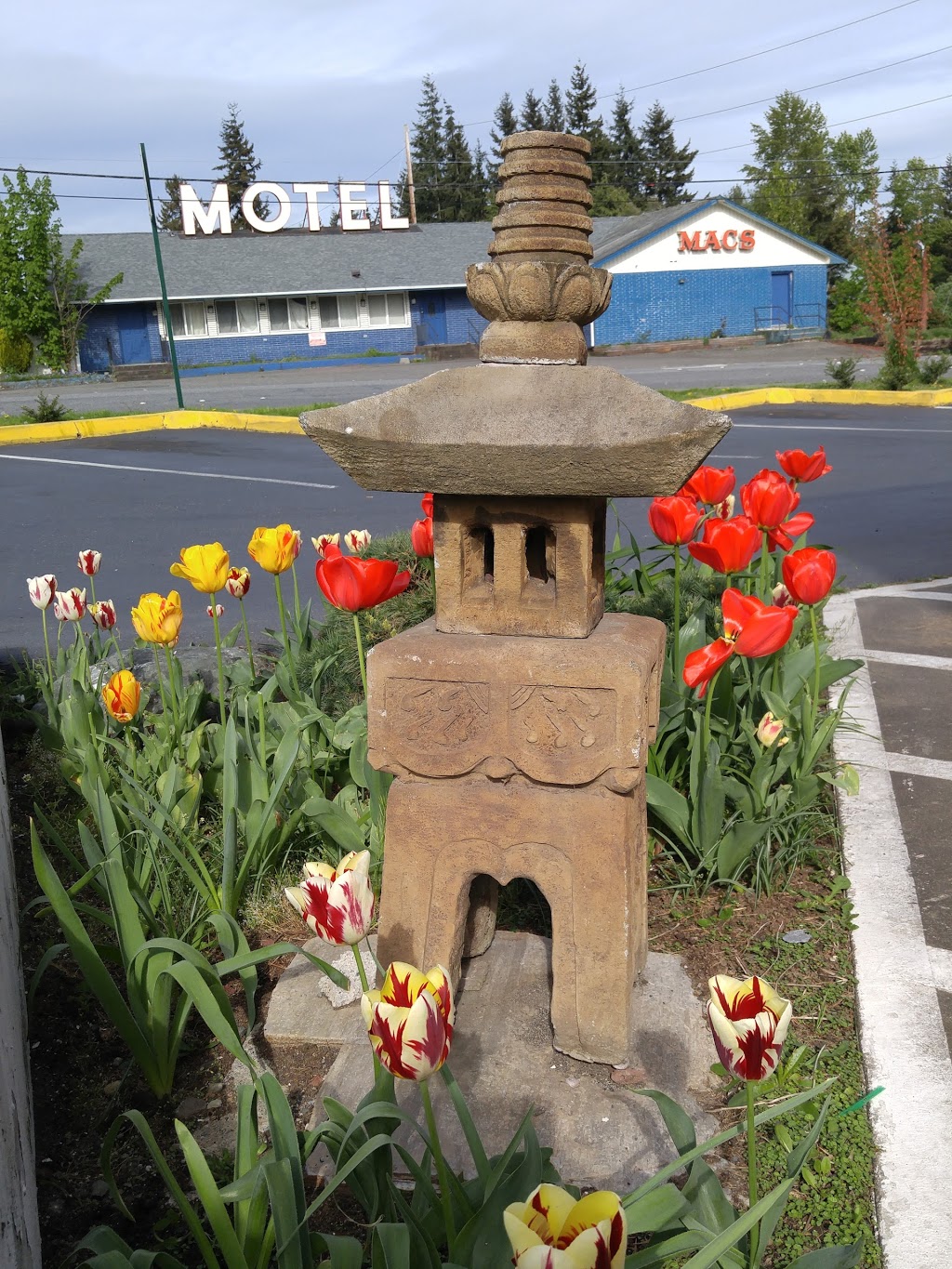 Cascade Herb Company | 1240 E Maple St #103, Bellingham, WA 98225, USA | Phone: (360) 778-2357