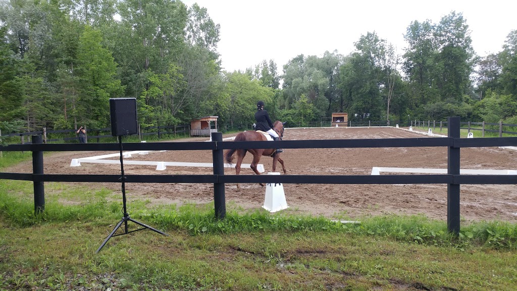 Rainbow Ridge Ranch | 2531 Swale Rd, Osgoode, ON K0A 2W0, Canada