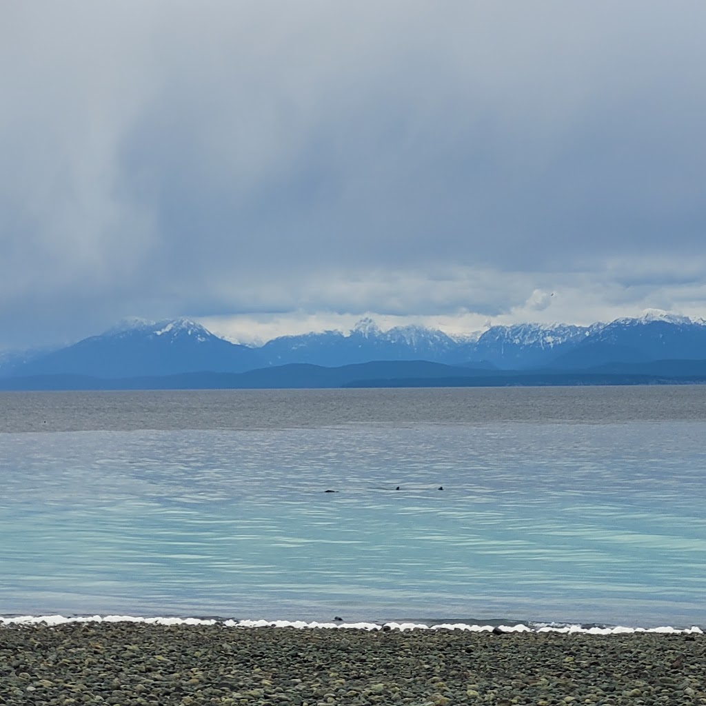 Kitty Coleman Beach Provincial Park | COLEMAN RD TO LEFT RD TO, 6120 Whitaker Rd, Courtenay, BC V9J 1V7, Canada | Phone: (250) 338-1332