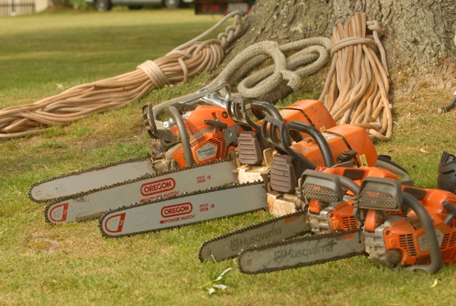 Bigfoot Danger Tree Services | 6805 Quartz Dr, Sooke, BC V9Z 1H7, Canada | Phone: (250) 642-2463