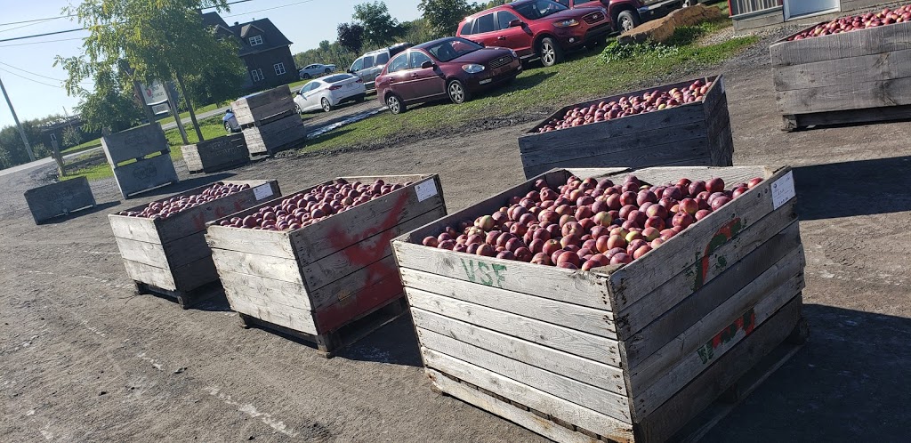 Verger St-Francois | 1055 Grand Rang St François, Saint-Pie, QC J0H 1W0, Canada | Phone: (450) 772-5262