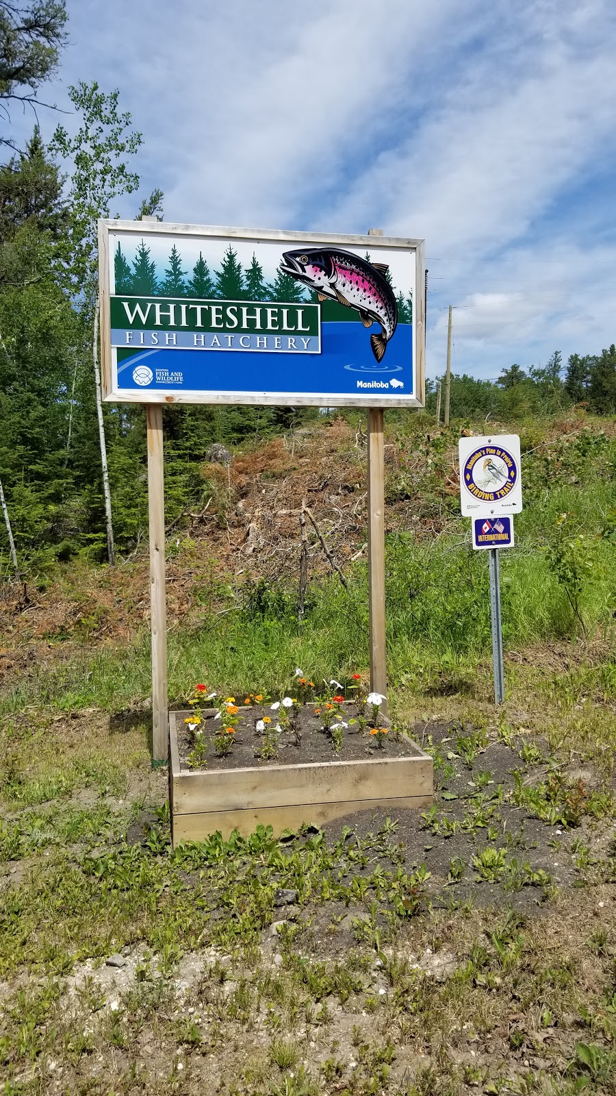 Whiteshell Fish Hatchery | MB-312, Whiteshell, MB R0E 2H0, Canada | Phone: (204) 369-3157