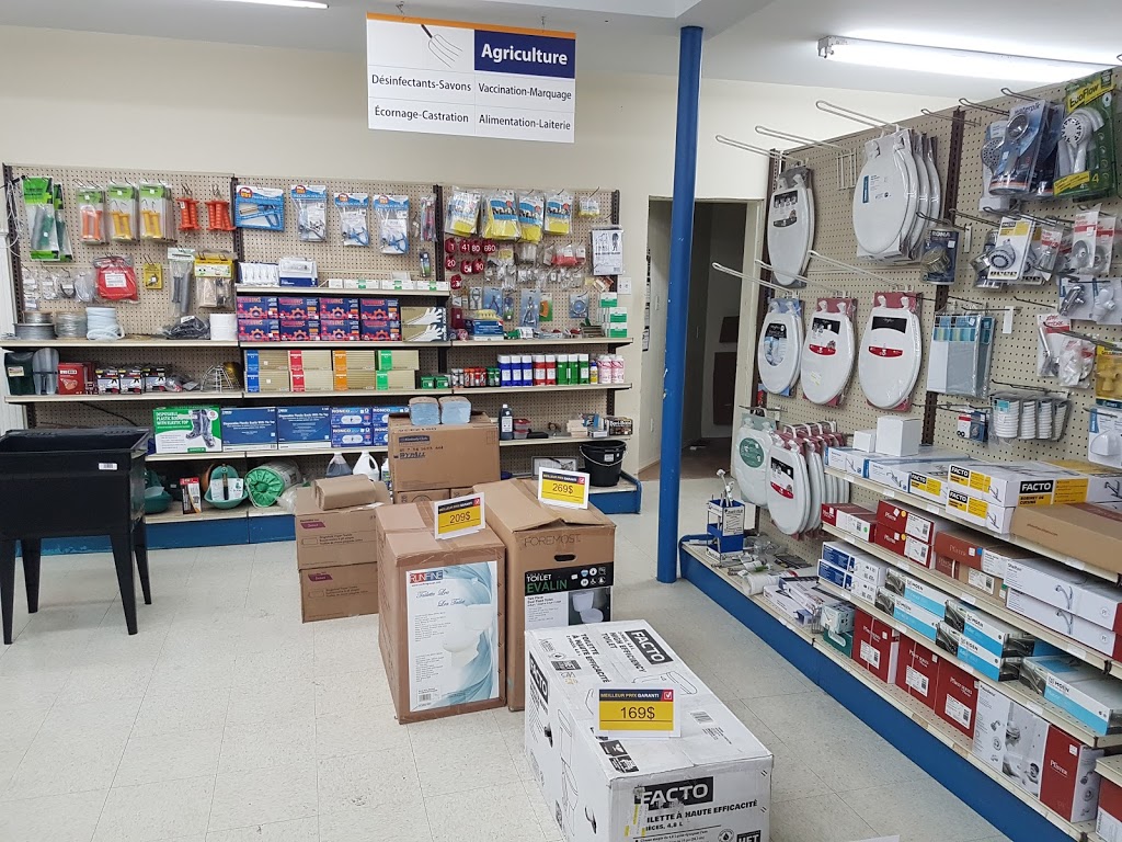 RONA Quincaillerie Poulin Lussier et filles inc. | 376 Rue Langevin, Saint-Odilon, QC G0S 3A0, Canada | Phone: (418) 464-2561