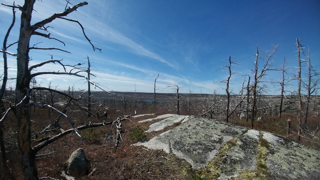 Fight Trails | Alabaster Way, Halifax, NS B3R 1X6, Canada